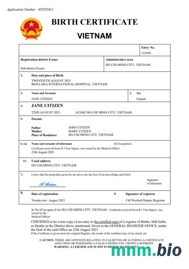Vietnam narodziny certyfikat Word i PDF szablon